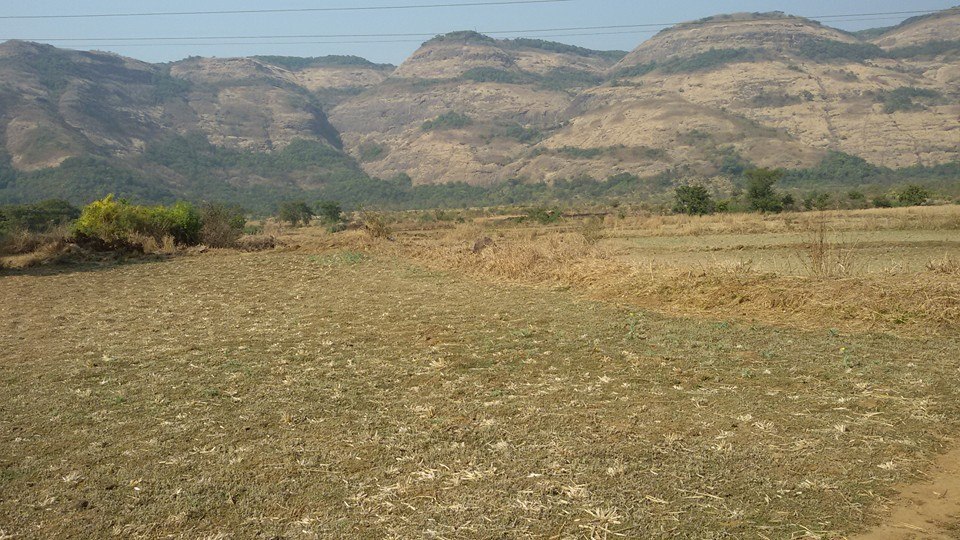 Photo of Trek Picks of Dhak Bhairii 21/78 by Dhaval Katakia