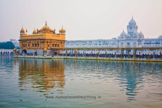 Photo of Eat, Pray, Love! A weekend getaway to Amritsar - Name Place Animal Thing by Name Place Animal Thing