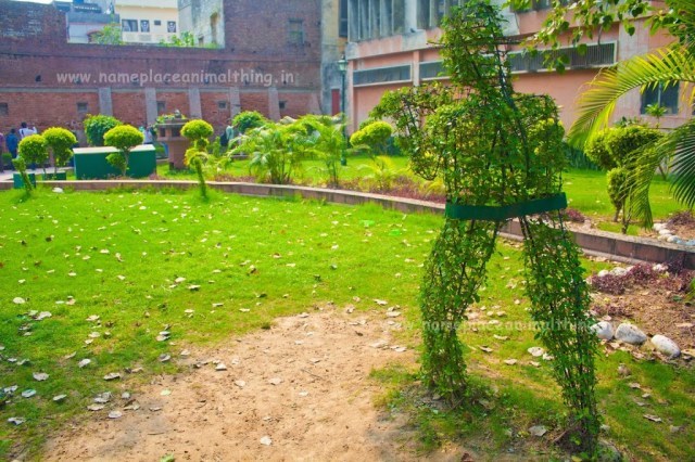 Photo of Eat, Pray, Love! A weekend getaway to Amritsar - Name Place Animal Thing 15/20 by Name Place Animal Thing
