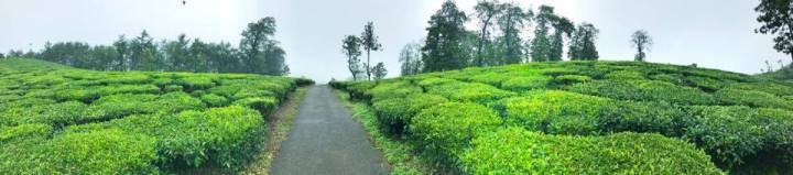 Photo of Road Trip across Kerala: Itinerary & Tips by TonkingAround