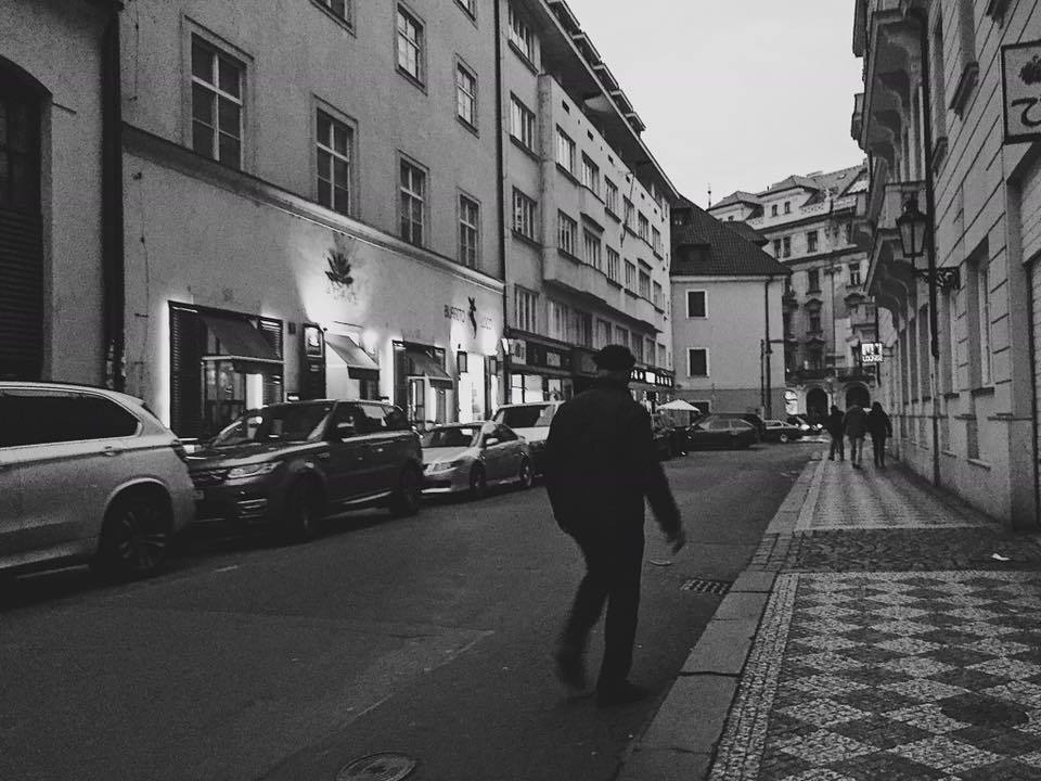 Photo of Europe : 300 kms on foot (Budapest,Vienna,Prague) 16/20 by Niteesh Jangid