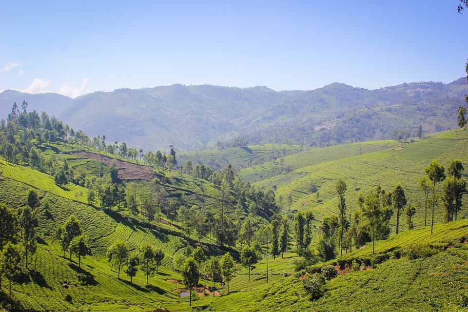 Photo of Coonoor, Tamil Nadu, India by GlobalOutcast