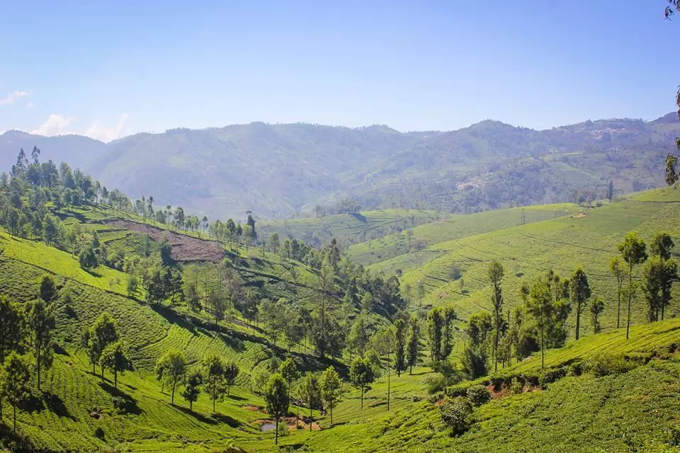 Photo of Coonoor, Tamil Nadu, India by GlobalOutcast