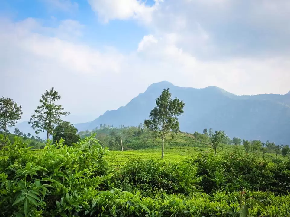 Photo of Why Do Ooty, When You Can Do Kotagiri? by GlobalOutcast