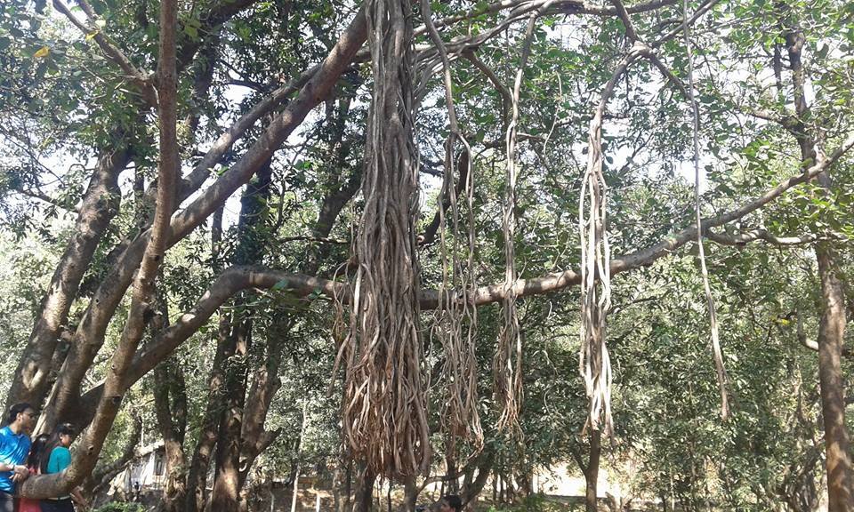 Photo of Weekend trip to Bhandardara 8/8 by Nidhi Rani