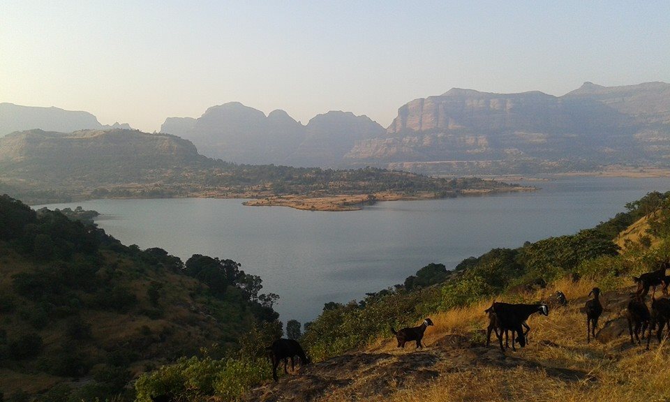 Photo of Weekend trip to Bhandardara 3/8 by Nidhi Rani