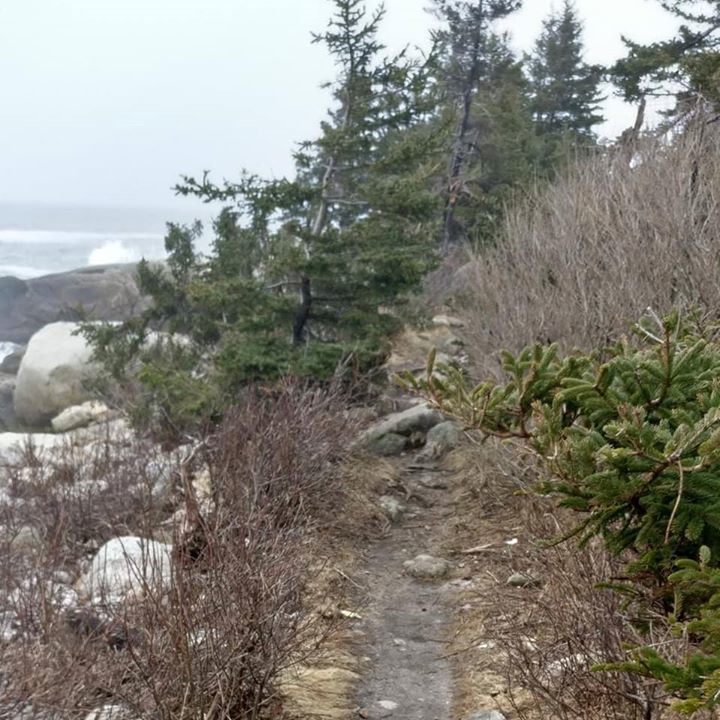 Photo of Herring Cove Road, Halifax, NS, Canada by Sudipta Nandy