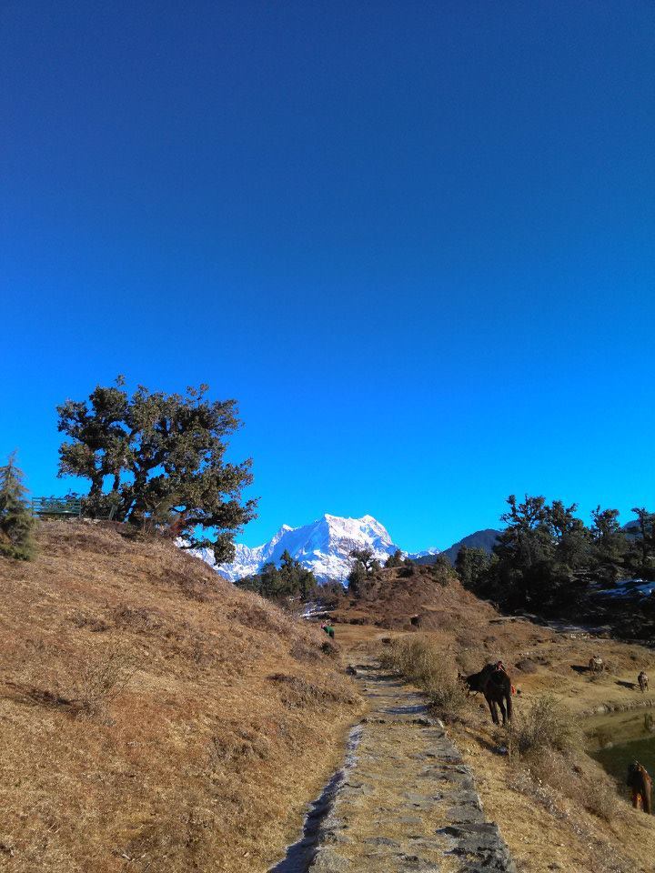 Photo of Statuesque Switzerland of India- Chopta 7/14 by Hemani Sehgal