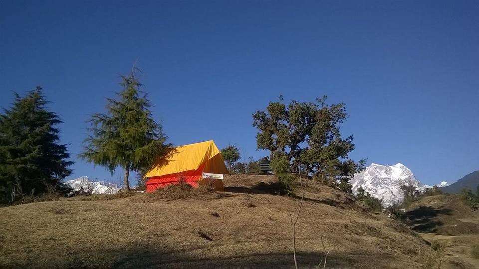 Photo of Statuesque Switzerland of India- Chopta 3/14 by Hemani Sehgal