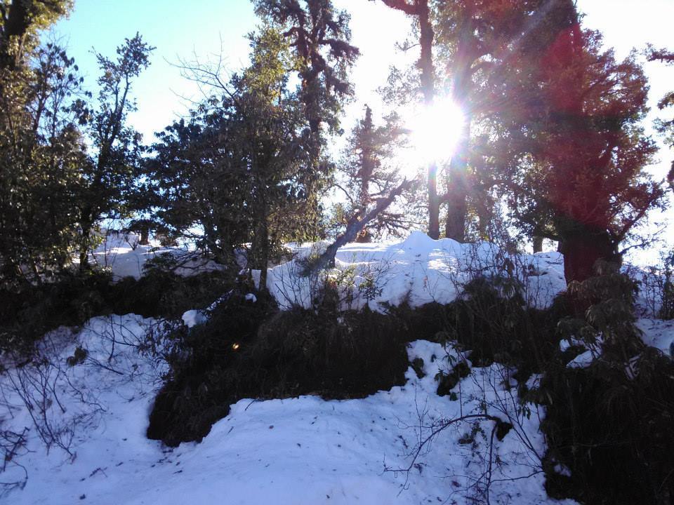 Photo of Statuesque Switzerland of India- Chopta 13/14 by Hemani Sehgal