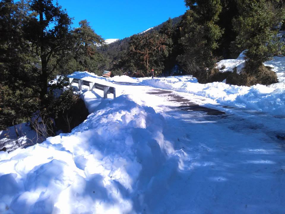 Photo of Statuesque Switzerland of India- Chopta 14/14 by Hemani Sehgal