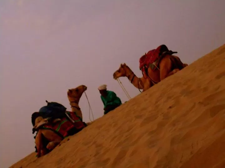 Photo of Jaisalmer, Rajasthan, India by Amasikha Dey