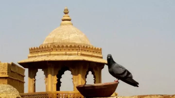 Photo of Jaisalmer, Rajasthan, India by Amasikha Dey