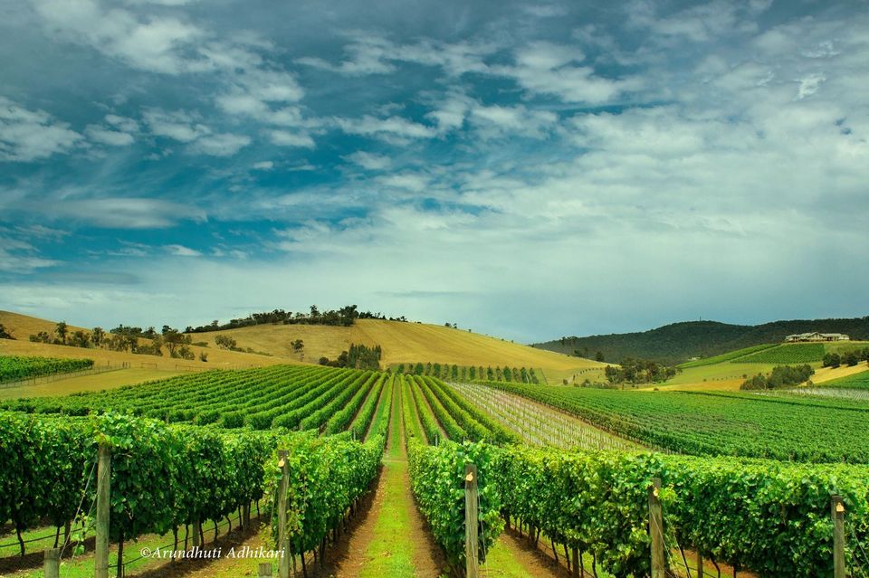 Photo of Victoria, Australia by Arundhuti Adhikari