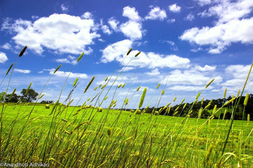 Photo of Victoria, Australia by Arundhuti Adhikari