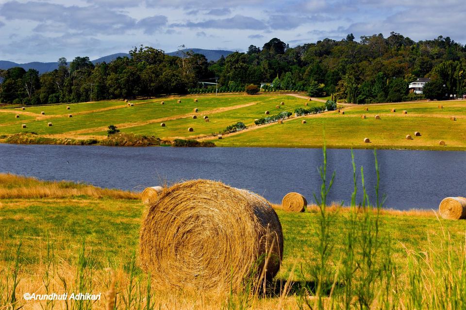 Photo of Victoria, Australia by Arundhuti Adhikari