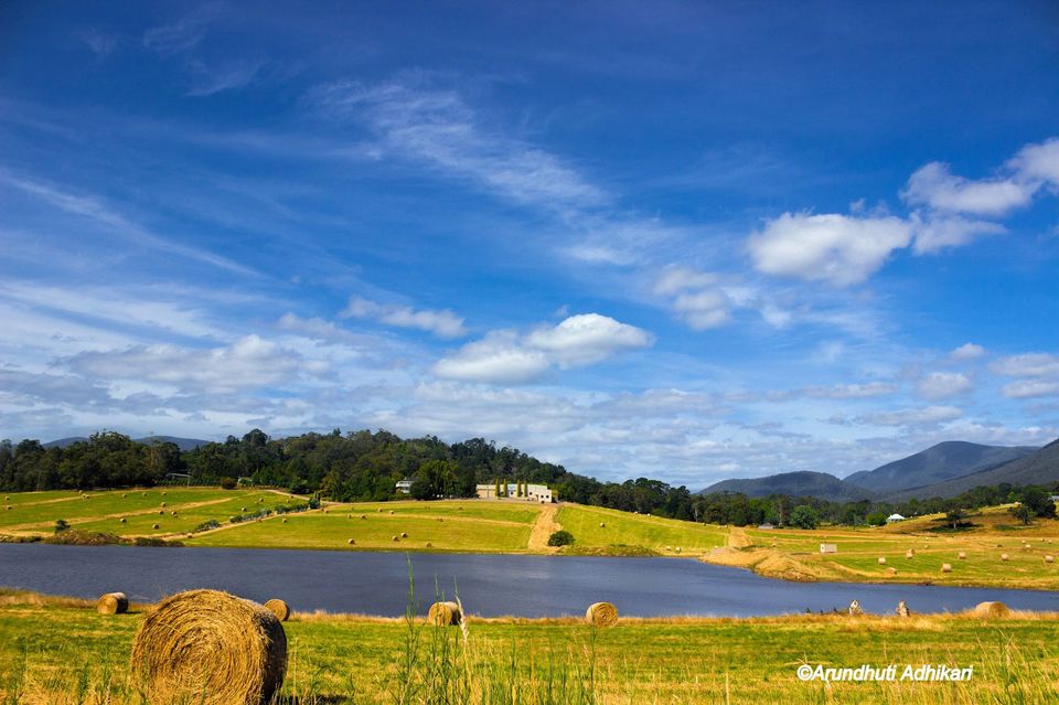 Photo of Victoria, Australia by Arundhuti Adhikari