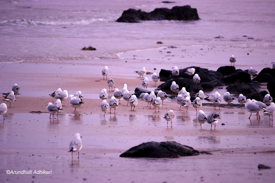 Photo of Victoria, Australia by Arundhuti Adhikari