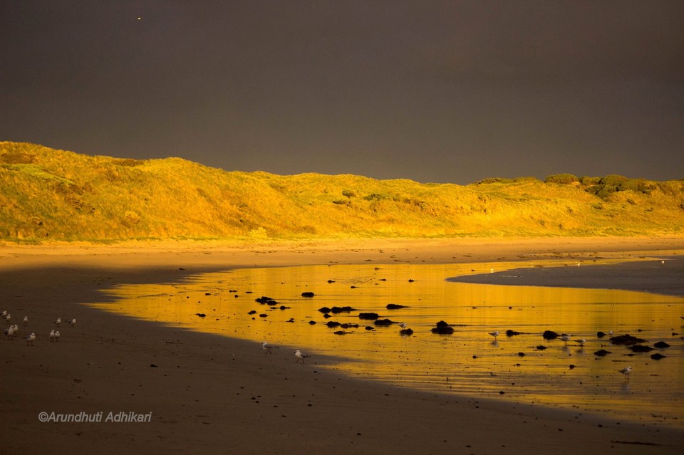 Photo of Victoria, Australia by Arundhuti Adhikari