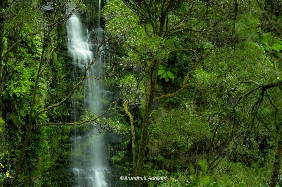 Photo of Victoria, Australia by Arundhuti Adhikari