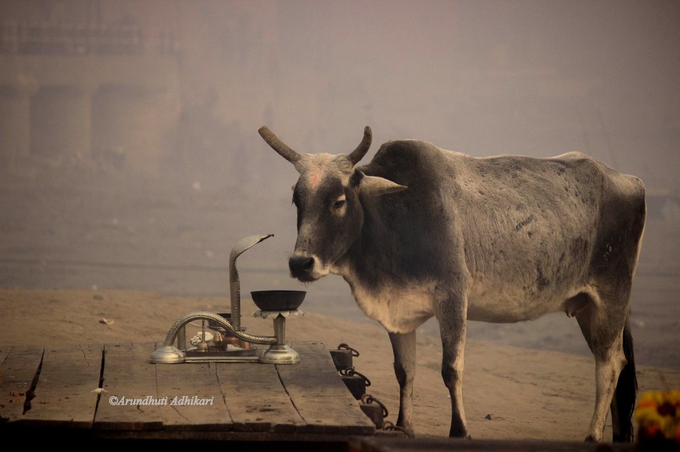Photo of Varanasi, Uttar Pradesh, India by Arundhuti Adhikari