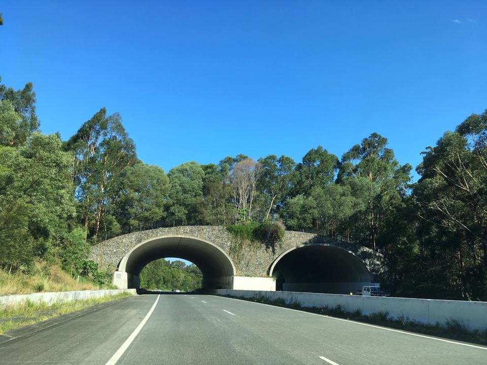 Photo of Springbrook National Park, Springbrook Rd, Springbrook QLD, Australia by Arundhuti Adhikari