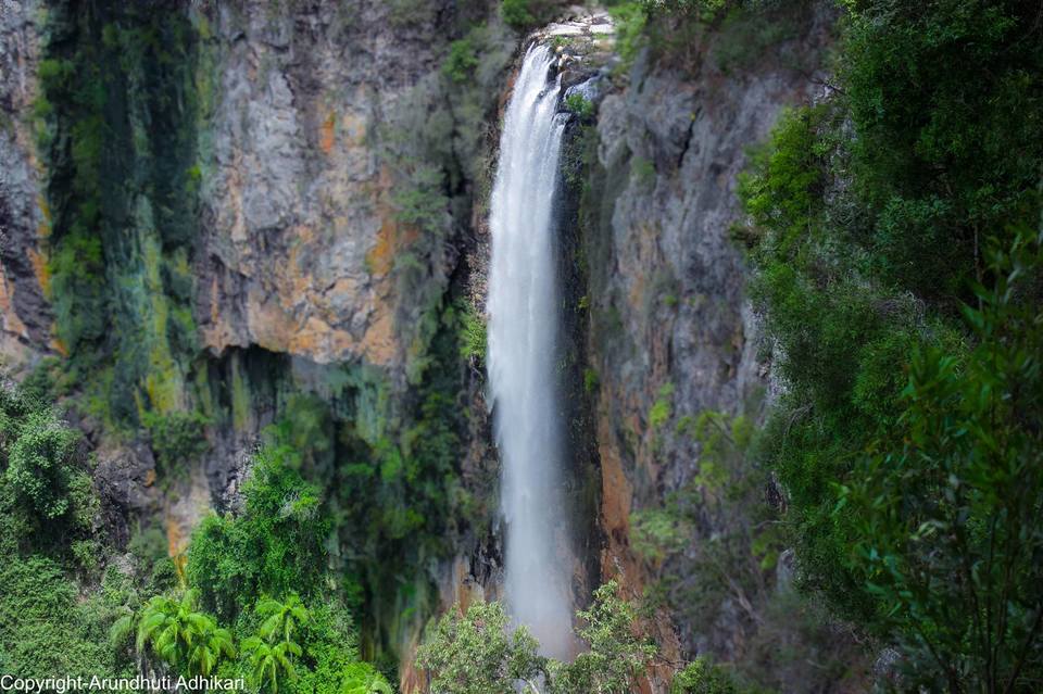 Photo of Springbrook National Park, Springbrook Rd, Springbrook QLD, Australia by Arundhuti Adhikari