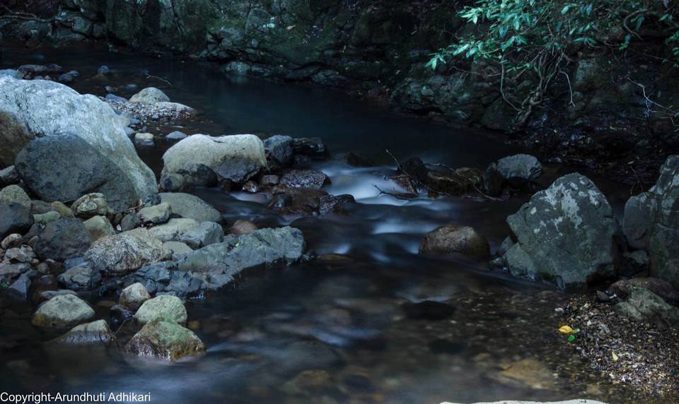 Photo of Springbrook National Park, Springbrook Rd, Springbrook QLD, Australia by Arundhuti Adhikari