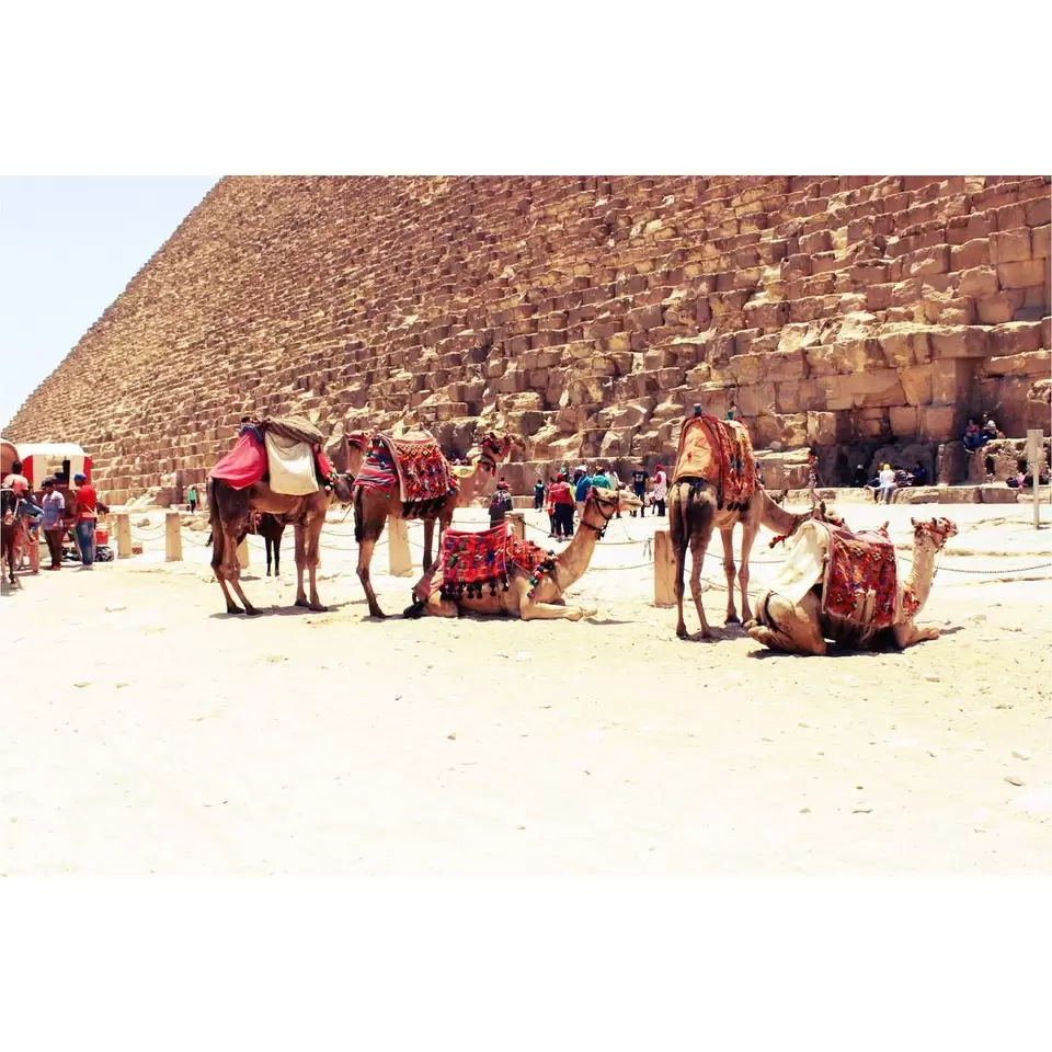 Photo of EGYPT : The Land Of The Pharaohs by Samaksh Kalra