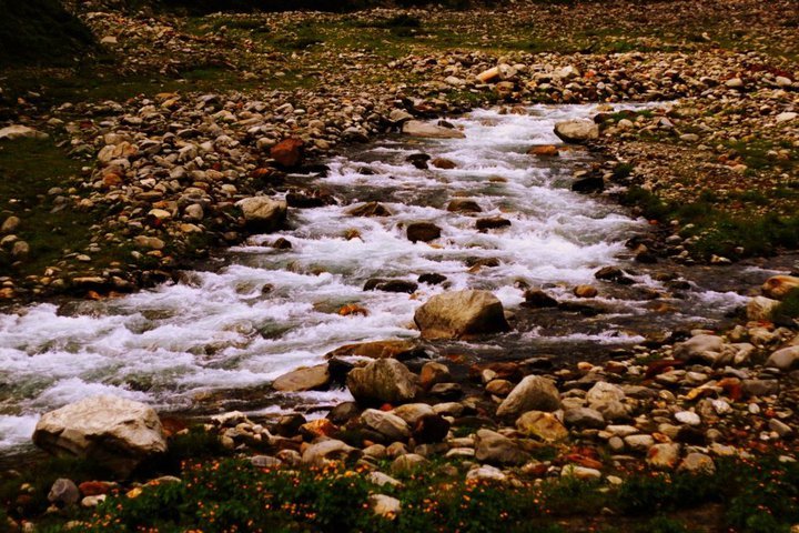 Photo of Hamta Pass – 14000 ft. of life changing experiences 49/56 by Pranab