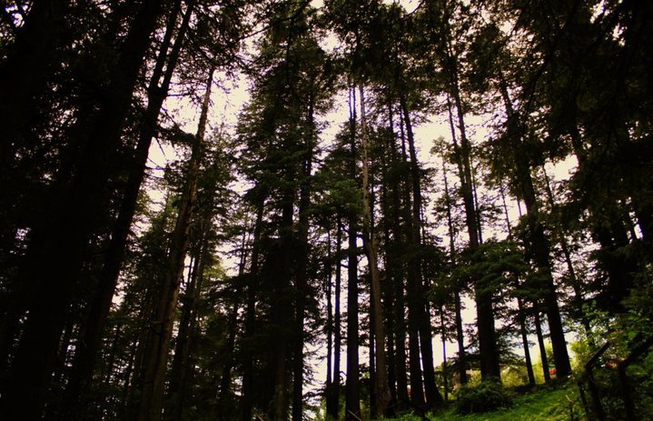 Photo of Hamta Pass – 14000 ft. of life changing experiences 2/56 by Pranab