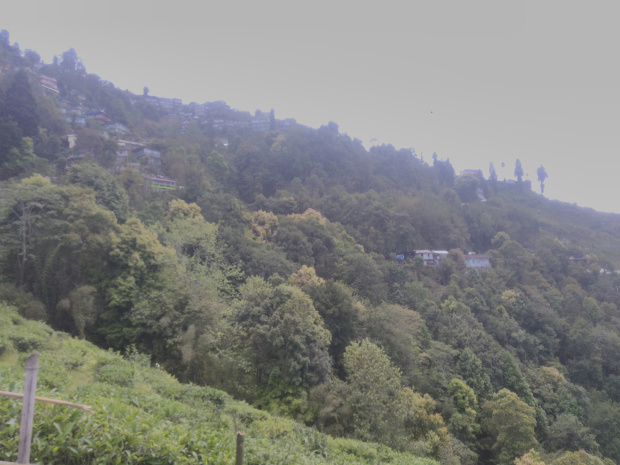 Photo of Darjeeling #WanderfulWednesday 6/8 by Balaka Basu