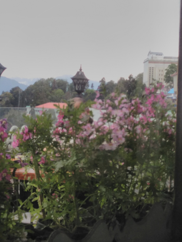 Photo of Darjeeling #WanderfulWednesday 8/8 by Balaka Basu