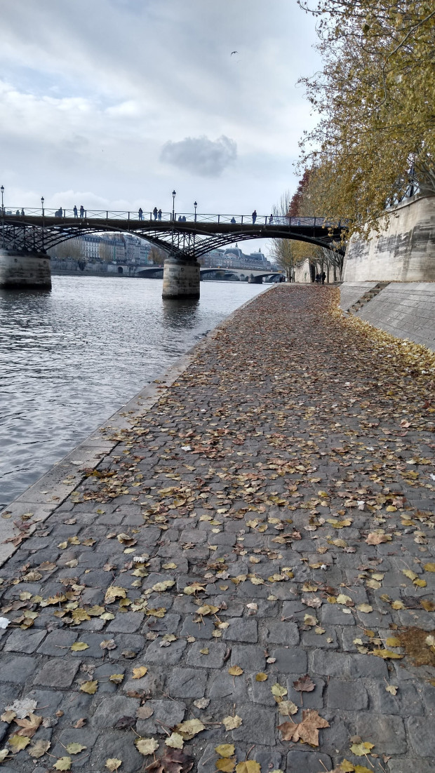 Photo of Seine River, France by Balaka Basu