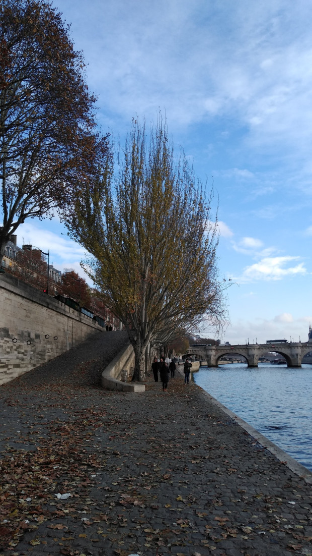 Photo of Pont des Arts, Paris, France by Balaka Basu