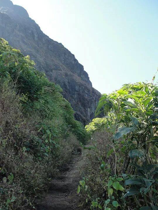 Photo of Getting Into Eagle's Nest~ Torna aka Prachandgad 14/18 by Sharmilee Patel