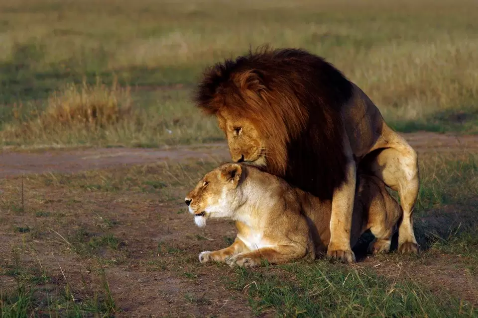 Photo of Kenya, Africa by Never-ending-footsteps by Richa Shah..