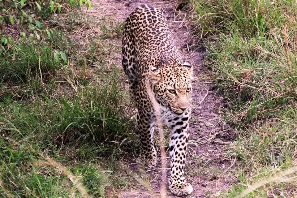 Photo of Kenya, Africa by Never-ending-footsteps by Richa Shah..