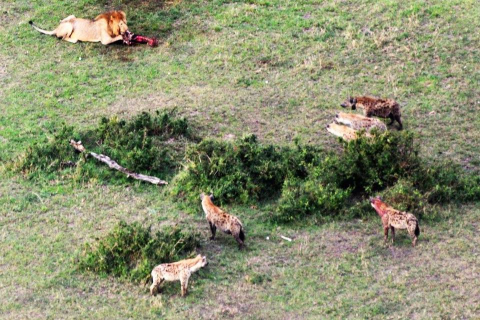Photo of Masai Mara Kenya, Buru Buru Road, Nairobi, Kenya by Never-ending-footsteps by Richa Shah..