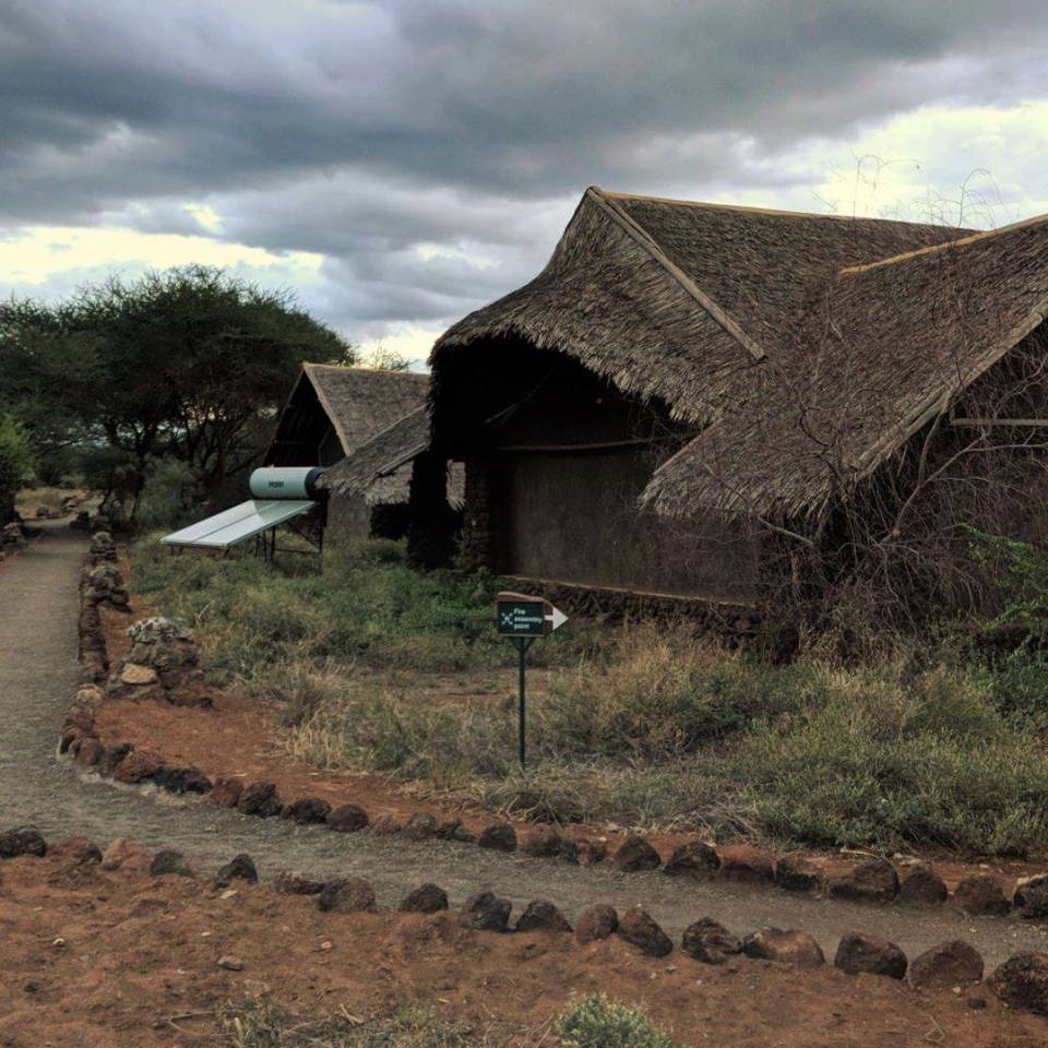 Photo of Amboseli National Park, Kajiado County, Kenya by Never-ending-footsteps by Richa Shah..