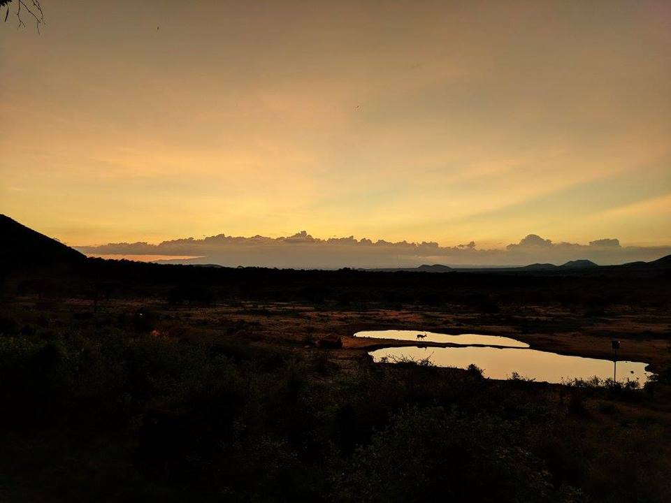 Photo of Tsavo West National Park, Taita-Taveta County, Kenya by Never-ending-footsteps by Richa Shah..