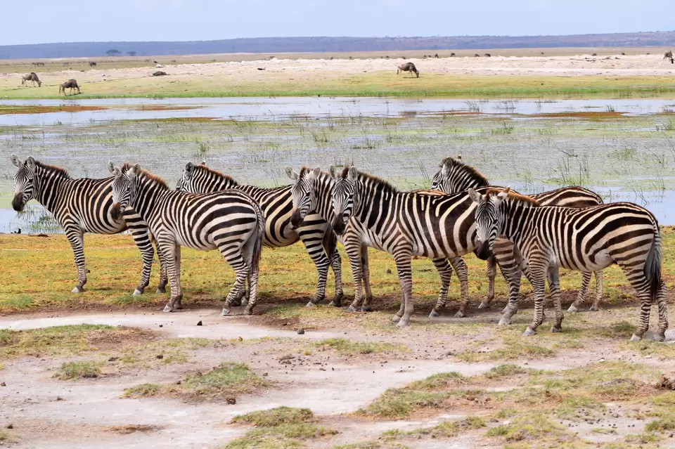 Photo of Kenya, Africa by Never-ending-footsteps by Richa Shah..