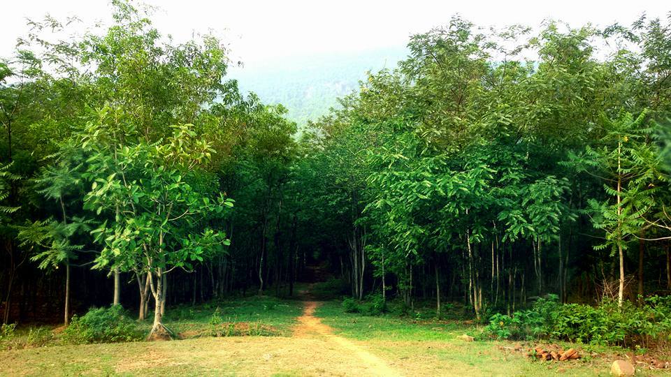 Photo of Garpanchkot - Weekend trip from Kolkata by Namrata