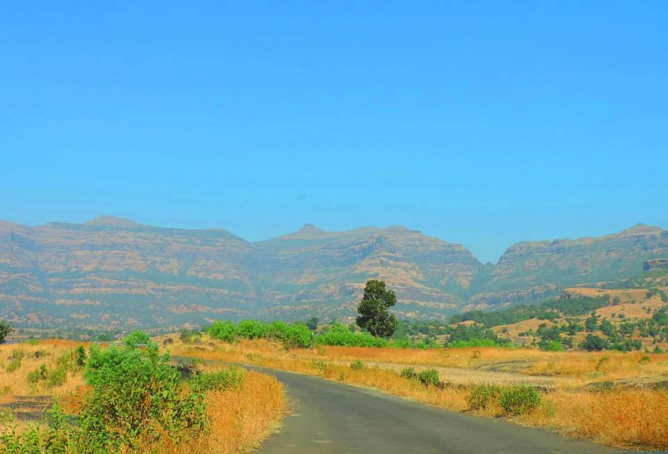 Photo of The WOW! Moments 3/13 by shikha