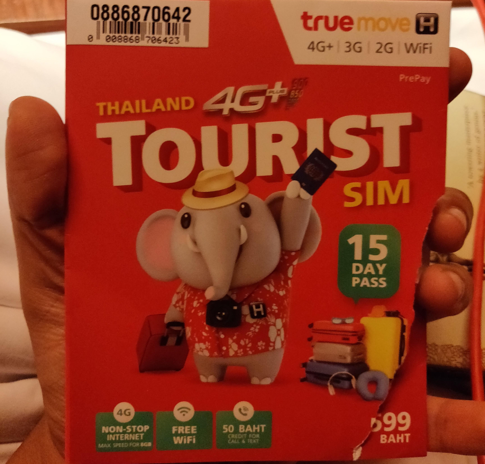 Photo of A Taste of Thailand: First Timer's Guide to Ten Days in the Land of Smiles by Ila Reddy