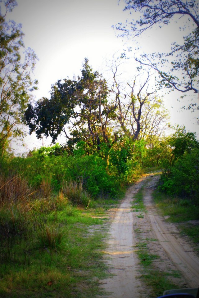 Photo of My First back packing experience in India... 35/45 by Bhaavik