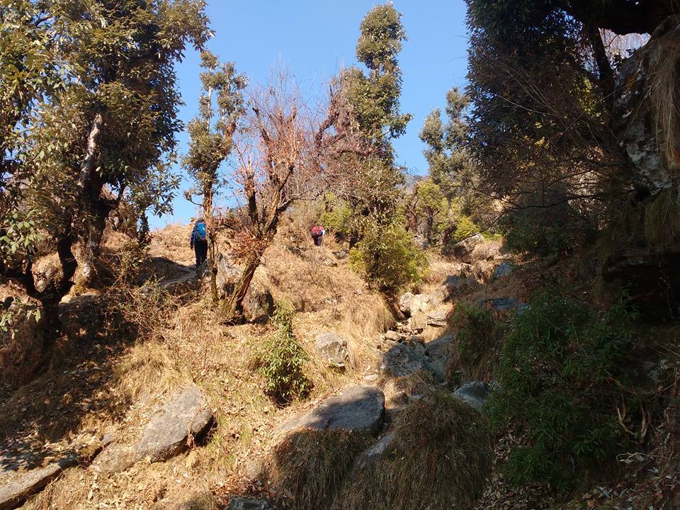 Photo of Lost While Travelling - Chopta Chandrashila 12/45 by Baghirathy Ramesh
