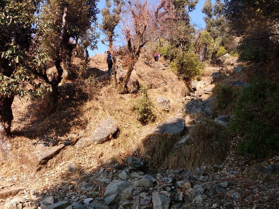 Photo of Lost While Travelling - Chopta Chandrashila 10/45 by Baghirathy Ramesh