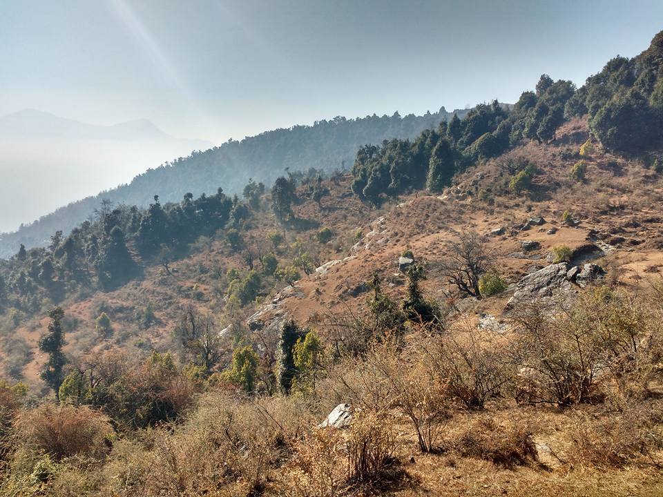 Photo of Lost While Travelling - Chopta Chandrashila 16/45 by Baghirathy Ramesh