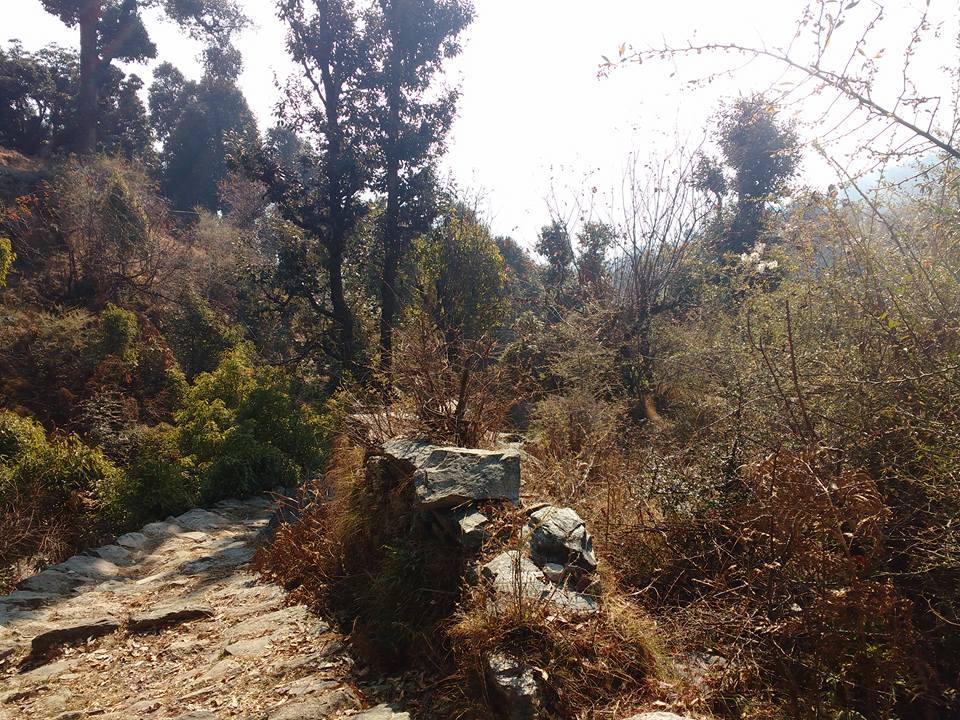 Photo of Lost While Travelling - Chopta Chandrashila 13/45 by Baghirathy Ramesh